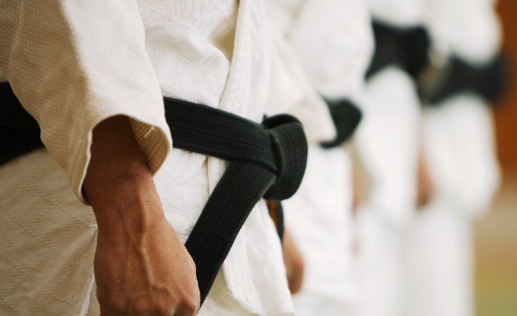 Alumnos cinturón negro de artes marciales en fila durante una clase en el dojo.